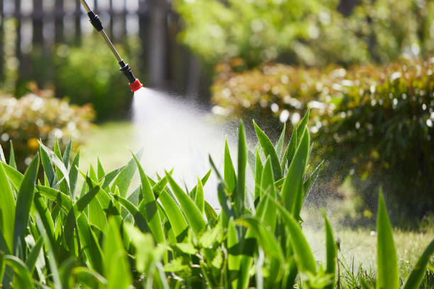 24/7 Emergency Pest Control experts in Becker, MN