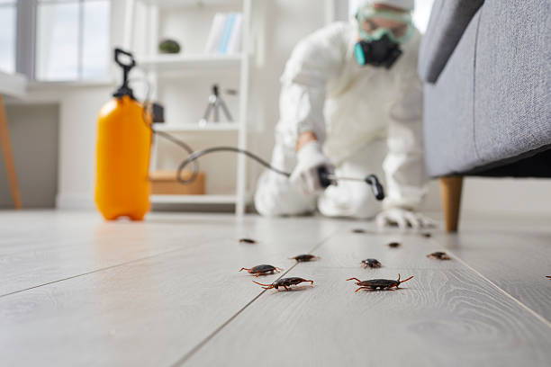 Affordable Pest Control solutions in Becker, MN